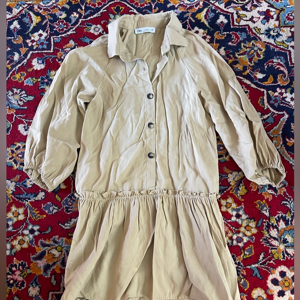 Zara dress